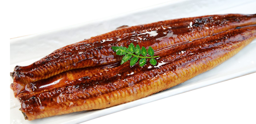 Eel in Mediterranean Cuisine: Recipes and Preparations